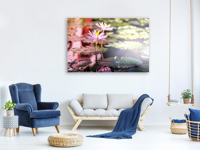 modern-4-piece-canvas-print-lilies-in-pond