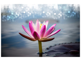 panoramic-3-piece-canvas-print-lotus-in-the-morning-dew