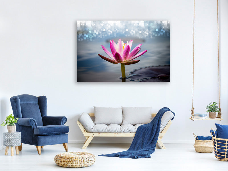 5-piece-canvas-print-lotus-in-the-morning-dew