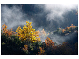 modern-4-piece-canvas-print-moonlight-forest