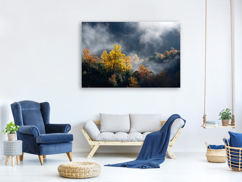 5-piece-canvas-print-moonlight-forest