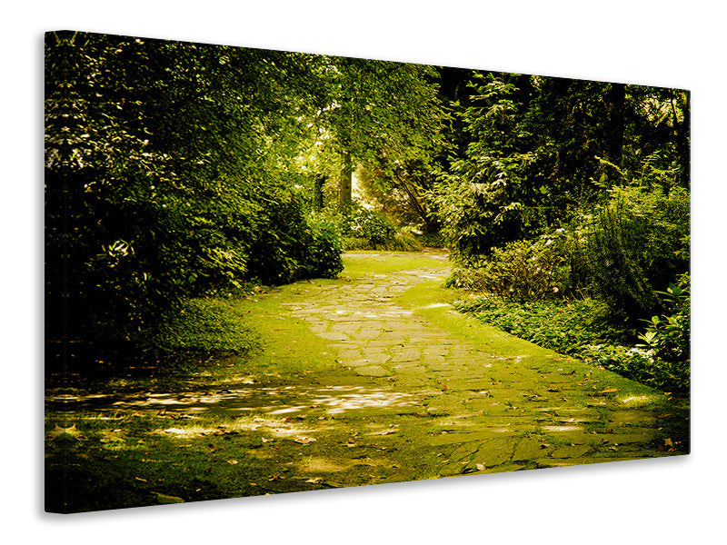 4-piece-canvas-print-moss-covered-path
