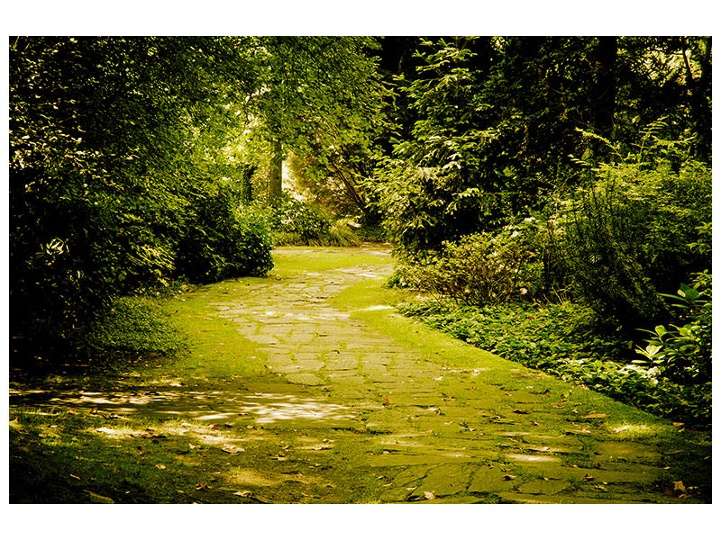 modern-4-piece-canvas-print-moss-covered-path
