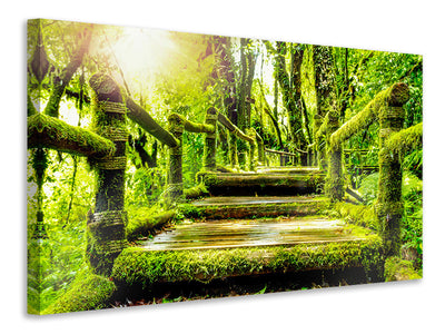 3-piece-canvas-print-moss