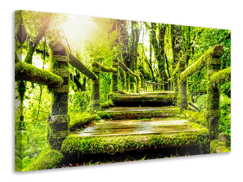 modern-3-piece-canvas-print-moss