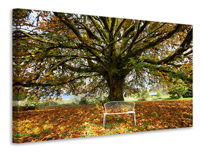 3-piece-canvas-print-my-favorite-tree