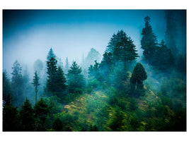 3-piece-canvas-print-mysterious-forest-ii