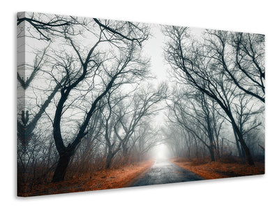4-piece-canvas-print-mysterious-mood-in-the-forest