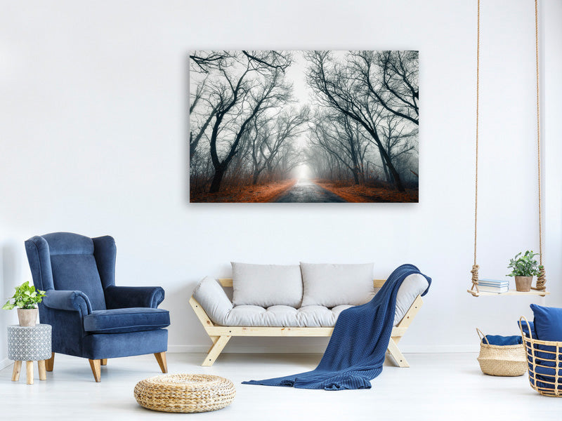 5-piece-canvas-print-mysterious-mood-in-the-forest
