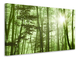 4-piece-canvas-print-nibelungen-forest