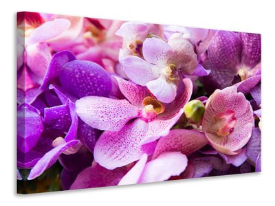 modern-3-piece-canvas-print-orchid-paradise