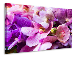 panoramic-canvas-print-orchid-paradise