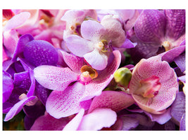 4-piece-canvas-print-orchid-paradise
