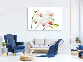 modern-4-piece-canvas-print-orchids-love
