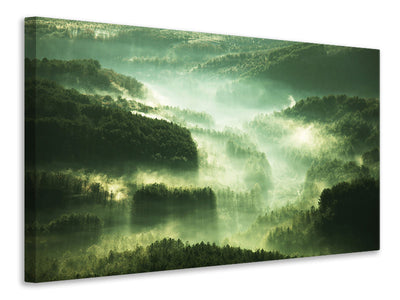 5-piece-canvas-print-over-the-woods