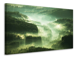 panoramic-canvas-print-over-the-woods