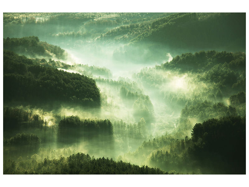 panoramic-3-piece-canvas-print-over-the-woods
