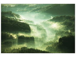 panoramic-canvas-print-over-the-woods