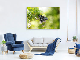 5-piece-canvas-print-papilio-butterfly-xxl