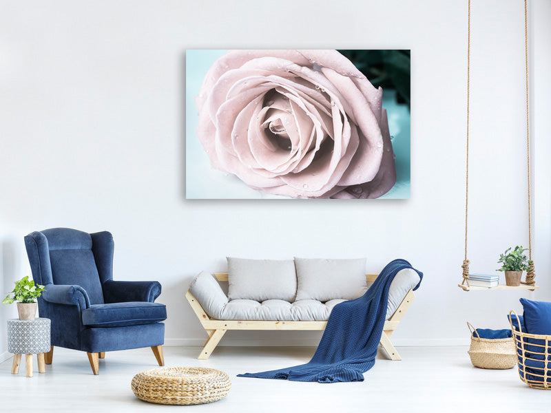 4-piece-canvas-print-pastel-rose