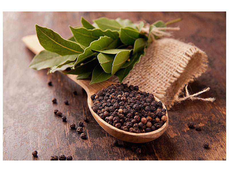 4-piece-canvas-print-pepper-spoon