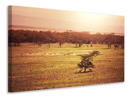 panoramic-3-piece-canvas-print-picturesque-africa