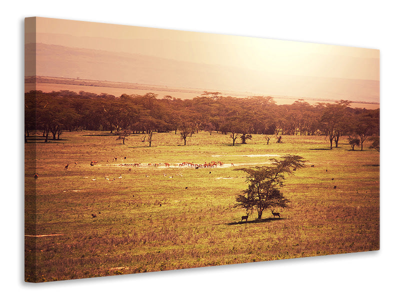 panoramic-3-piece-canvas-print-picturesque-africa