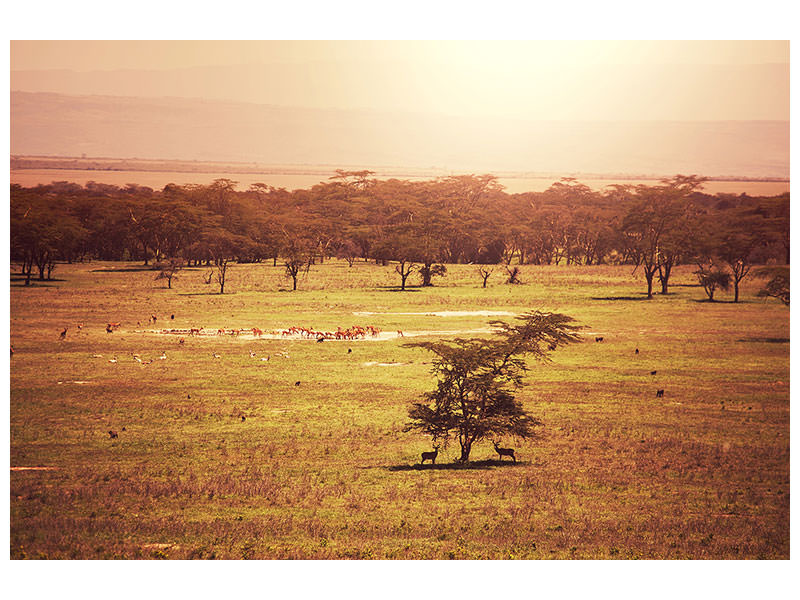 modern-4-piece-canvas-print-picturesque-africa