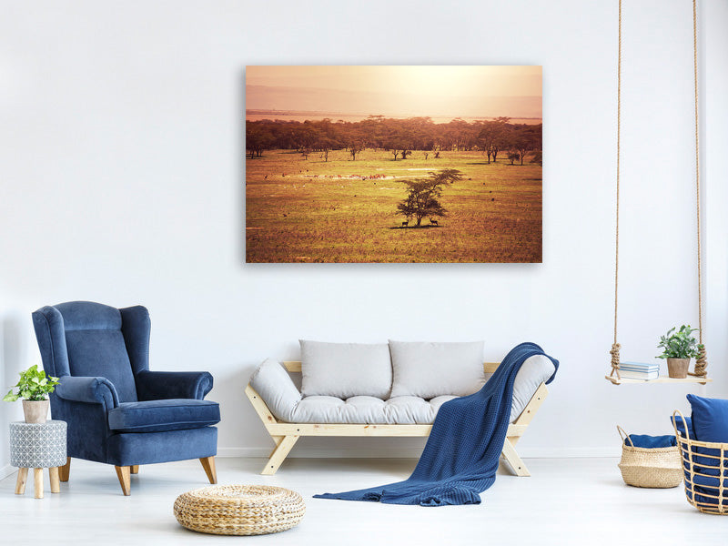 panoramic-3-piece-canvas-print-picturesque-africa