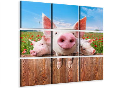 canvas-print-pig-in-luck