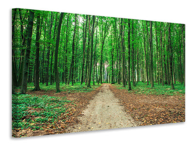 modern-3-piece-canvas-print-pine-forests