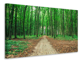 4-piece-canvas-print-pine-forests