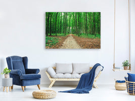 5-piece-canvas-print-pine-forests
