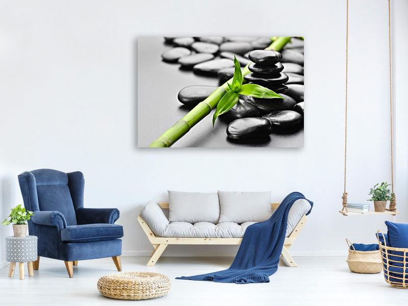 4-piece-canvas-print-polished-stones