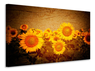 modern-3-piece-canvas-print-retro-sunflower