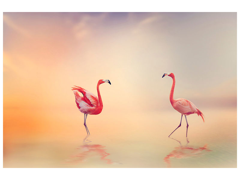 5-piece-canvas-print-romantic-flamingos