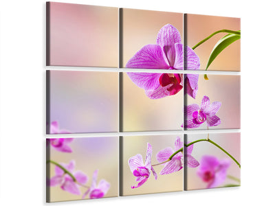canvas-print-romantic-orchids