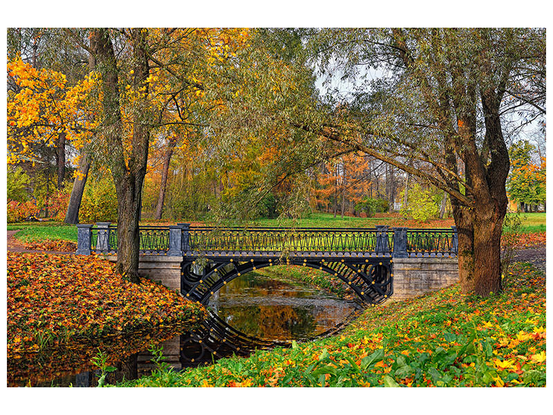 5-piece-canvas-print-romantic-park