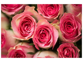 4-piece-canvas-print-rose-love
