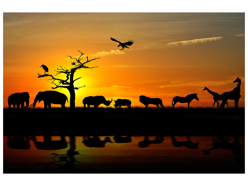 5-piece-canvas-print-safari-animals-at-sunset