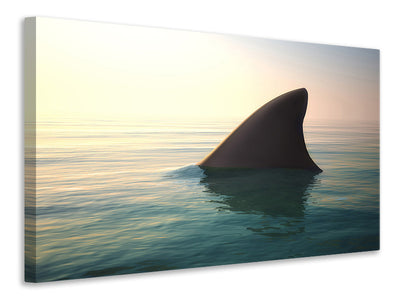 modern-3-piece-canvas-print-shark-fin