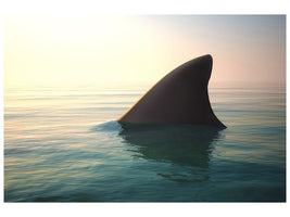 5-piece-canvas-print-shark-fin