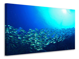 5-piece-canvas-print-shoal-of-fish