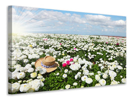 modern-3-piece-canvas-print-spring-flower-meadow