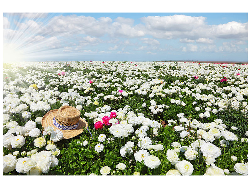 modern-3-piece-canvas-print-spring-flower-meadow