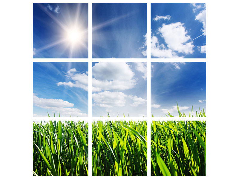4-piece-canvas-print-spring-grass