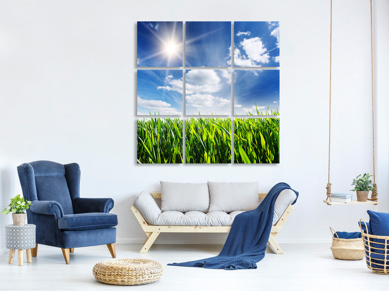 canvas-print-spring-grass