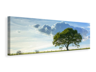 canvas-print-spring-tree