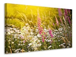modern-4-piece-canvas-print-summer-flower-meadow