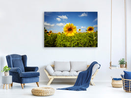 panoramic-3-piece-canvas-print-summer-sunflowers